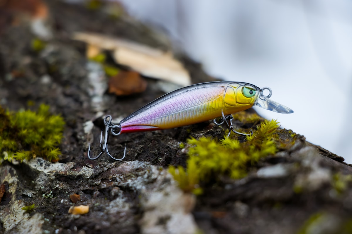 A fishing lure resting on a natural surface